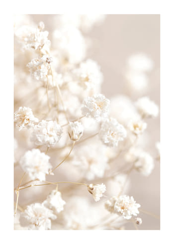 Juliste Boho Flowers No4